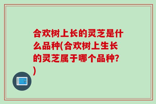 合欢树上长的灵芝是什么品种(合欢树上生长的灵芝属于哪个品种？)