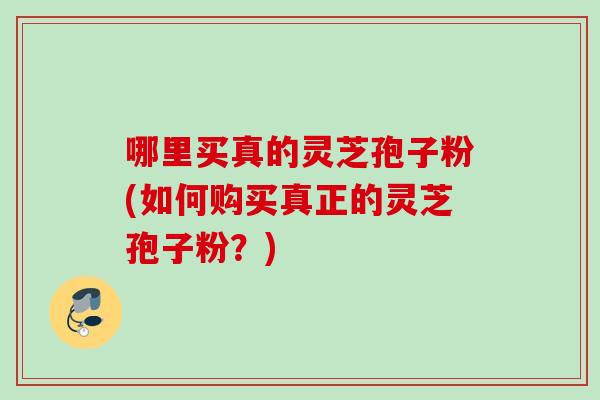 哪里买真的灵芝孢子粉(如何购买真正的灵芝孢子粉？)
