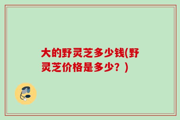 大的野灵芝多少钱(野灵芝价格是多少？)