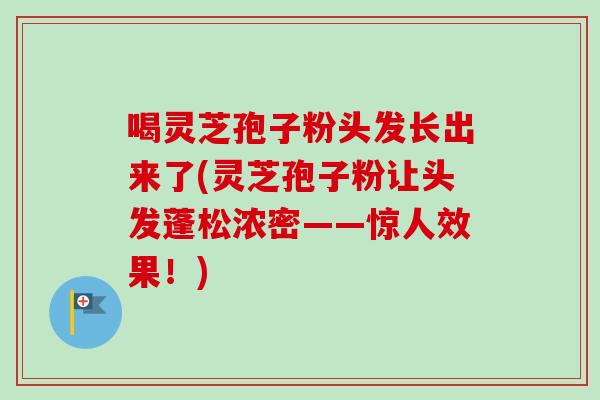 喝灵芝孢子粉头发长出来了(灵芝孢子粉让头发蓬松浓密——惊人效果!) 喝灵芝孢子粉头发长出来了(灵芝孢子粉让头发蓬松浓密——惊人效果!)