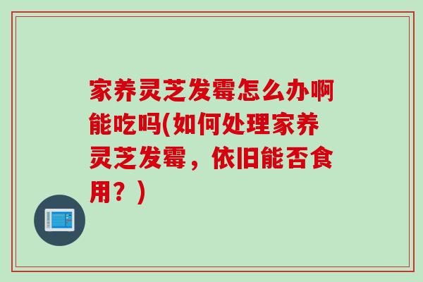 家养灵芝发霉怎么办啊能吃吗(如何处理家养灵芝发霉，依旧能否食用？)