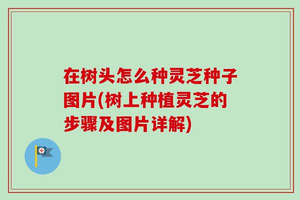 在树头怎么种灵芝种子图片(树上种植灵芝的步骤及图片详解)