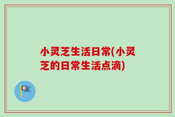小灵芝生活日常(小灵芝的日常生活点滴)