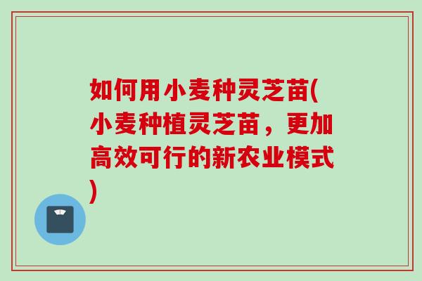 如何用小麦种灵芝苗(小麦种植灵芝苗，更加高效可行的新农业模式)