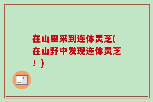在山里采到连体灵芝(在山野中发现连体灵芝！)