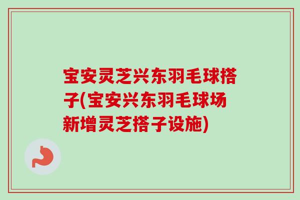 宝安灵芝兴东羽毛球搭子(宝安兴东羽毛球场新增灵芝搭子设施)