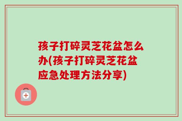 孩子打碎灵芝花盆怎么办(孩子打碎灵芝花盆应急处理方法分享)