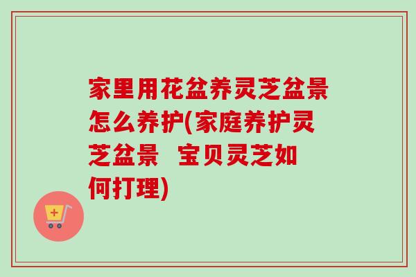 家里用花盆养灵芝盆景怎么养护(家庭养护灵芝盆景  宝贝灵芝如何打理)