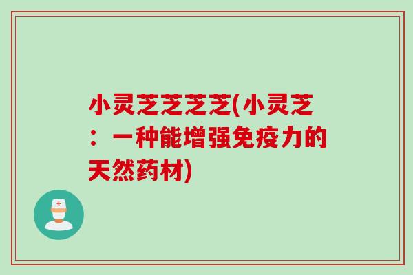 小灵芝芝芝芝(小灵芝：一种能增强免疫力的天然药材)