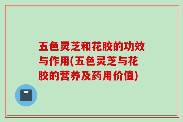 五色灵芝和花胶的功效与作用(五色灵芝与花胶的营养及药用价值)