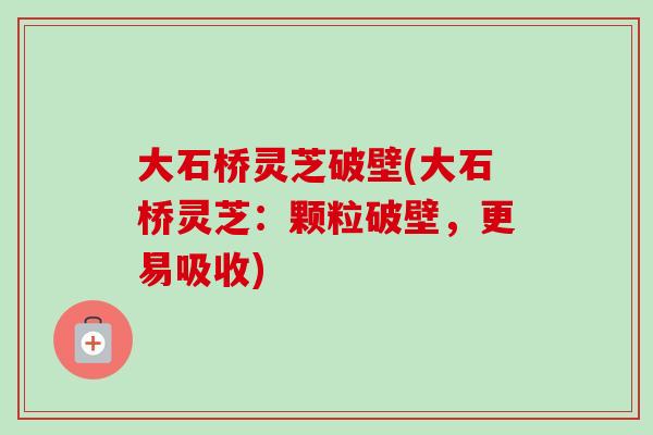 大石桥灵芝破壁(大石桥灵芝：颗粒破壁，更易吸收)