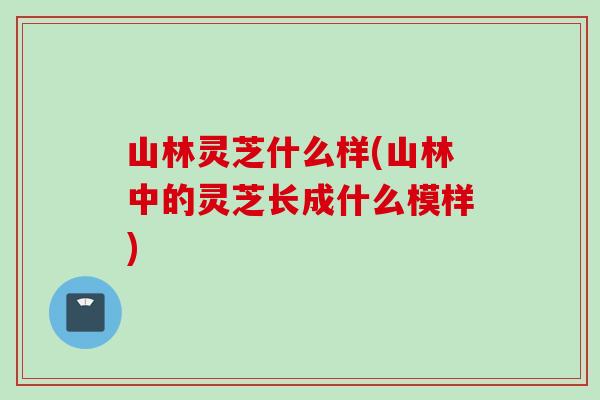 山林灵芝什么样(山林中的灵芝长成什么模样) 山林灵芝什么样(山林中的灵芝长成什么模样)