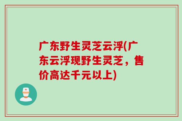 广东野生灵芝云浮(广东云浮现野生灵芝，售价高达千元以上)