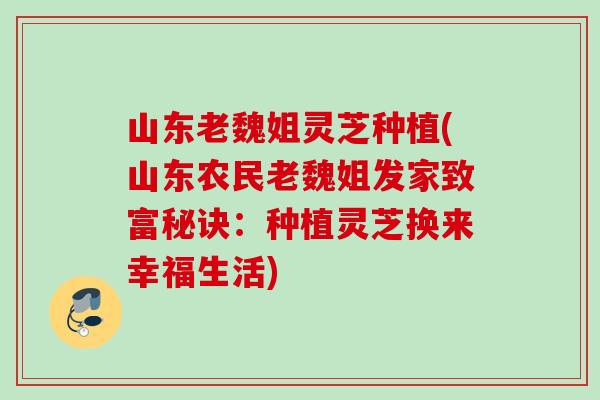 山东老魏姐灵芝种植(山东农民老魏姐发家致富秘诀：种植灵芝换来幸福生活)
