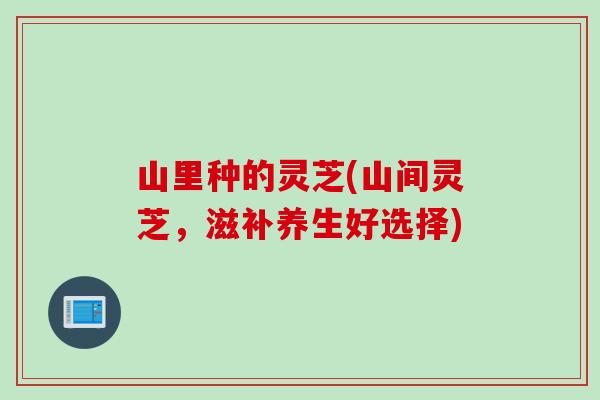山里种的灵芝(山间灵芝，滋补养生好选择)