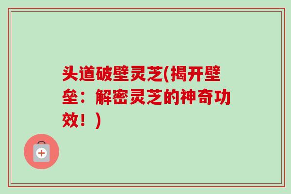 头道破壁灵芝(揭开壁垒:解密灵芝的神奇功效!) 头道破壁灵芝(揭开壁垒:解密灵芝的神奇功效!)