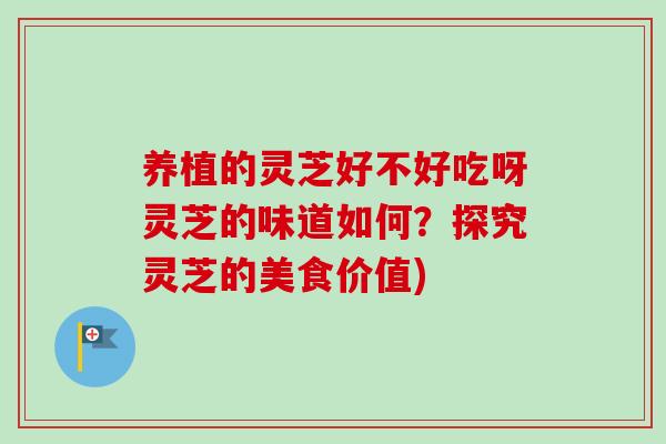 养植的灵芝好不好吃呀灵芝的味道如何？探究灵芝的美食价值)