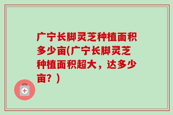 广宁长脚灵芝种植面积多少亩(广宁长脚灵芝种植面积超大，达多少亩？)