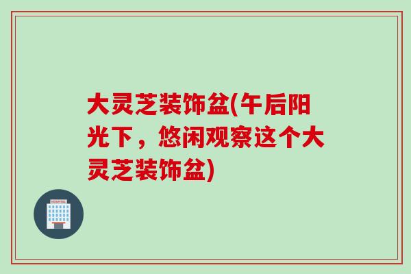 大灵芝装饰盆(午后阳光下，悠闲观察这个大灵芝装饰盆)