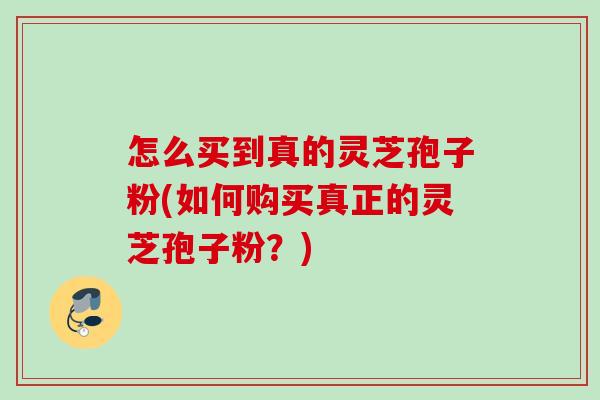 怎么买到真的灵芝孢子粉(如何购买真正的灵芝孢子粉?) 怎么买到真的灵芝孢子粉(如何购买真正的灵芝孢子粉?)