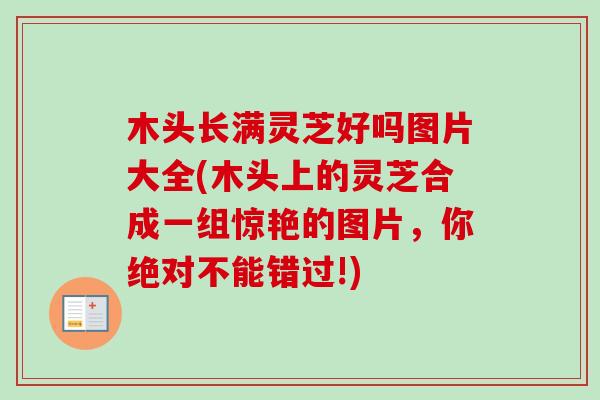 木头长满灵芝好吗图片大全(木头上的灵芝合成一组惊艳的图片，你绝对不能错过!)