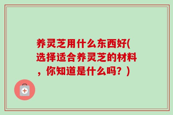 养灵芝用什么东西好(选择适合养灵芝的材料,你知道是什么吗?) 养灵芝用什么东西好(选择适合养灵芝的材料,你知道是什么吗?)