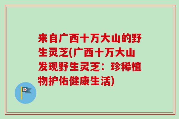 来自广西十万大山的野生灵芝(广西十万大山发现野生灵芝：珍稀植物护佑健康生活)