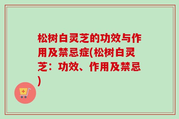 松树白灵芝的功效与作用及禁忌症(松树白灵芝：功效、作用及禁忌)