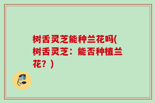 树舌灵芝能种兰花吗(树舌灵芝：能否种植兰花？)