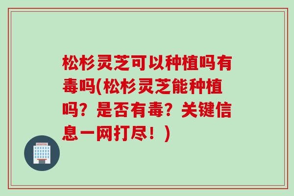 松杉灵芝可以种植吗有毒吗(松杉灵芝能种植吗?是否有毒?关键信息一网打尽!) 松杉灵芝可以种植吗有毒吗(松杉灵芝能种植吗?是否有毒?关键信息一网打尽!)