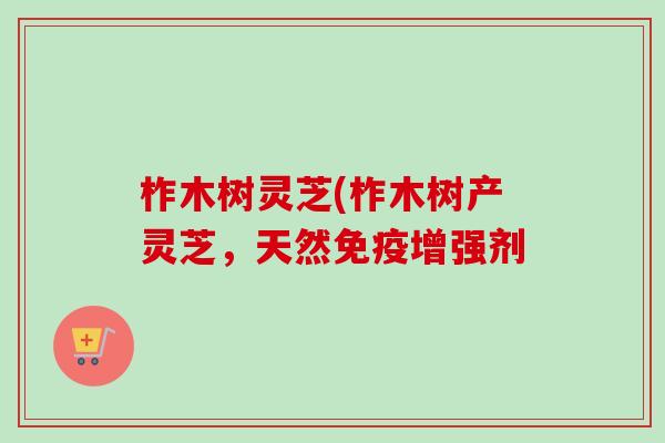 柞木树灵芝(柞木树产灵芝,天然免疫增强剂 柞木树灵芝(柞木树产灵芝,天然免疫增强剂