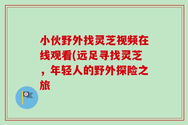 小伙野外找灵芝视频在线观看(远足寻找灵芝，年轻人的野外探险之旅