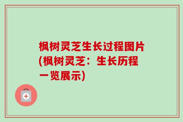 枫树灵芝生长过程图片(枫树灵芝:生长历程一览展示) 枫树灵芝生长过程图片(枫树灵芝:生长历程一览展示)