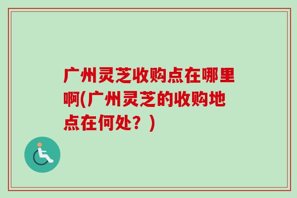 广州灵芝收购点在哪里啊(广州灵芝的收购地点在何处？)