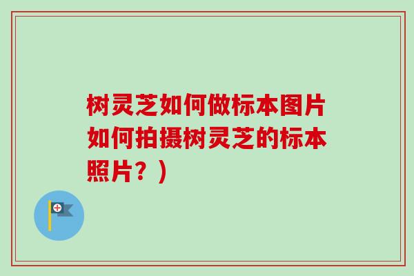 树灵芝如何做标本图片如何拍摄树灵芝的标本照片？)