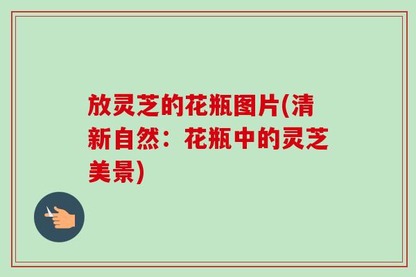 放灵芝的花瓶图片(清新自然：花瓶中的灵芝美景)