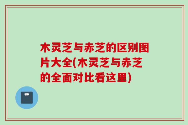 木灵芝与赤芝的区别图片大全(木灵芝与赤芝的全面对比看这里)