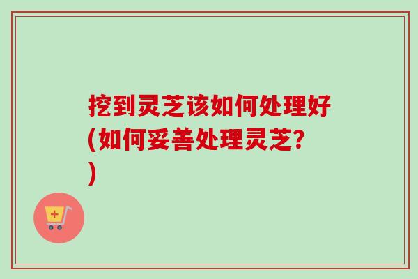 挖到灵芝该如何处理好(如何妥善处理灵芝?) 挖到灵芝该如何处理好(如何妥善处理灵芝?)