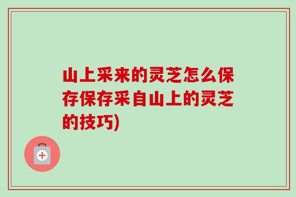山上采来的灵芝怎么保存保存采自山上的灵芝的技巧) 山上采来的灵芝怎么保存保存采自山上的灵芝的技巧)