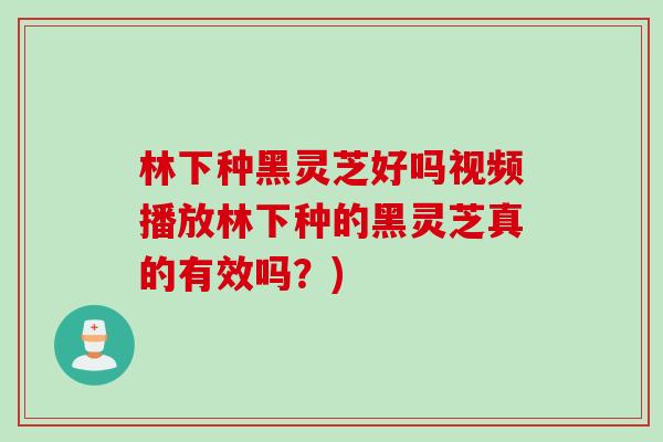 林下种黑灵芝好吗视频播放林下种的黑灵芝真的有效吗？)