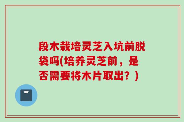 段木栽培灵芝入坑前脱袋吗(培养灵芝前，是否需要将木片取出？)