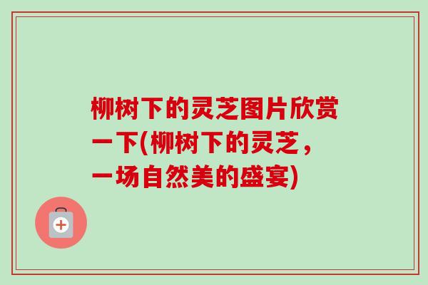 柳树下的灵芝图片欣赏一下(柳树下的灵芝，一场自然美的盛宴)