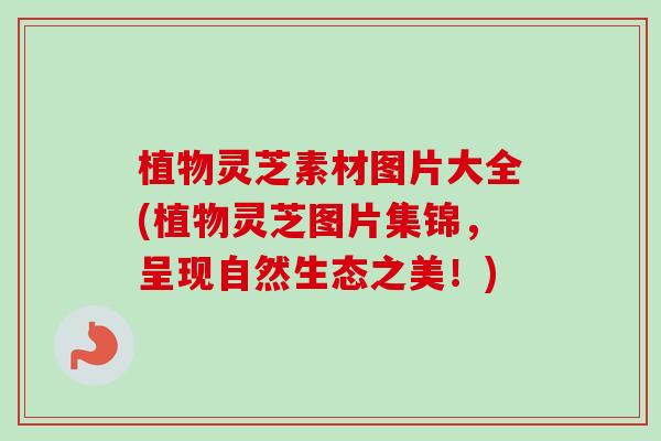 植物灵芝素材图片大全(植物灵芝图片集锦，呈现自然生态之美！)