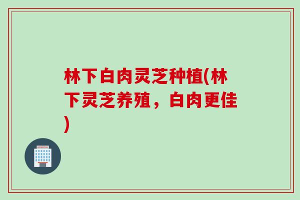林下白肉灵芝种植(林下灵芝养殖，白肉更佳)