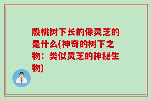 殷桃树下长的像灵芝的是什么(神奇的树下之物：类似灵芝的神秘生物)