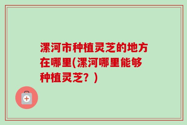 漯河市种植灵芝的地方在哪里(漯河哪里能够种植灵芝？)