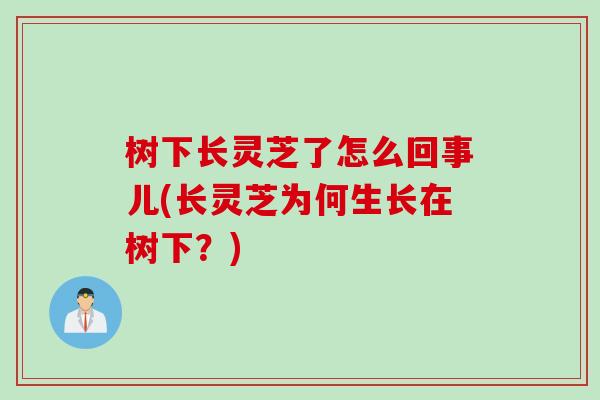 树下长灵芝了怎么回事儿(长灵芝为何生长在树下?) 树下长灵芝了怎么回事儿(长灵芝为何生长在树下?)
