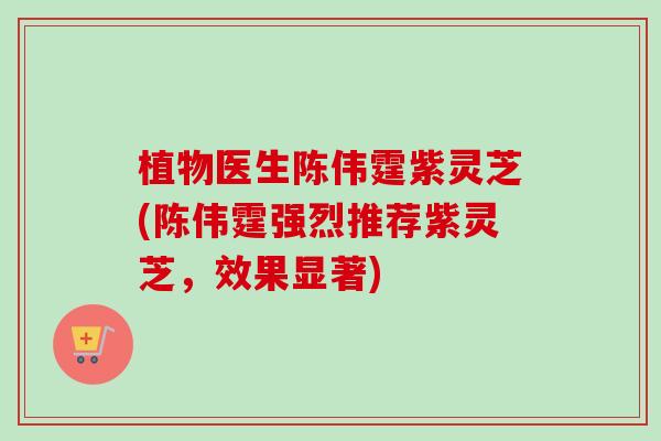 植物医生陈伟霆紫灵芝(陈伟霆强烈推荐紫灵芝,效果显著) 植物医生陈伟霆紫灵芝(陈伟霆强烈推荐紫灵芝,效果显著)