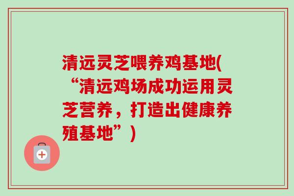 清远灵芝喂养鸡基地(“清远鸡场成功运用灵芝营养，打造出健康养殖基地”)