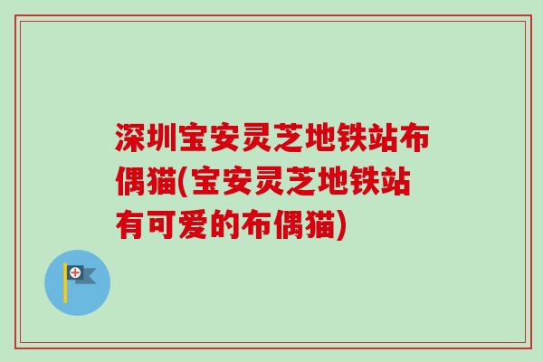 深圳宝安灵芝地铁站布偶猫(宝安灵芝地铁站有可爱的布偶猫)